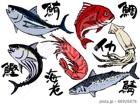 魚圖|魚/海鮮的照片素材集